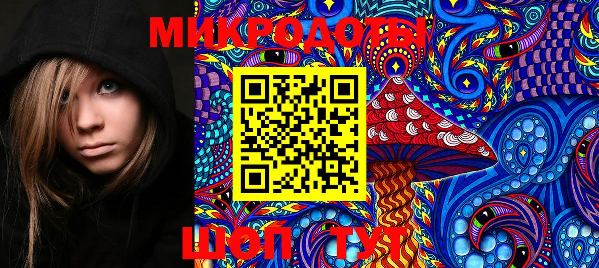 Псилоцибиновые грибы мицелий Медногорск